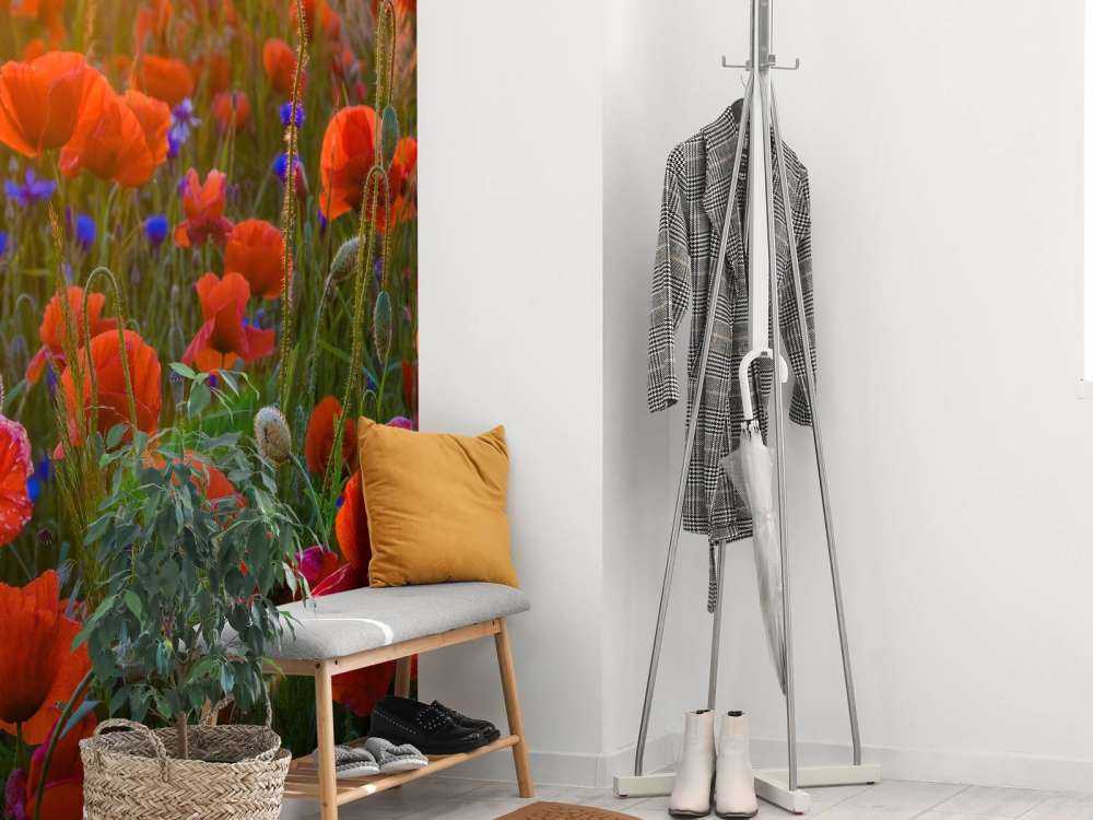 Amapolas con sol naciente