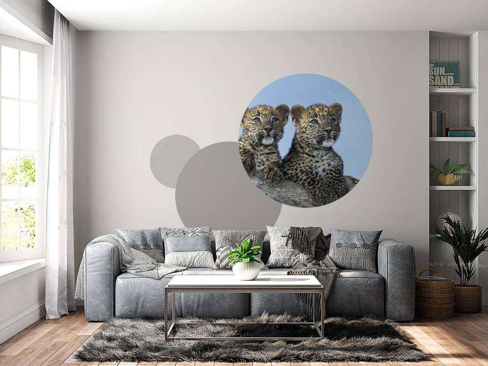 Pequeños leopardos