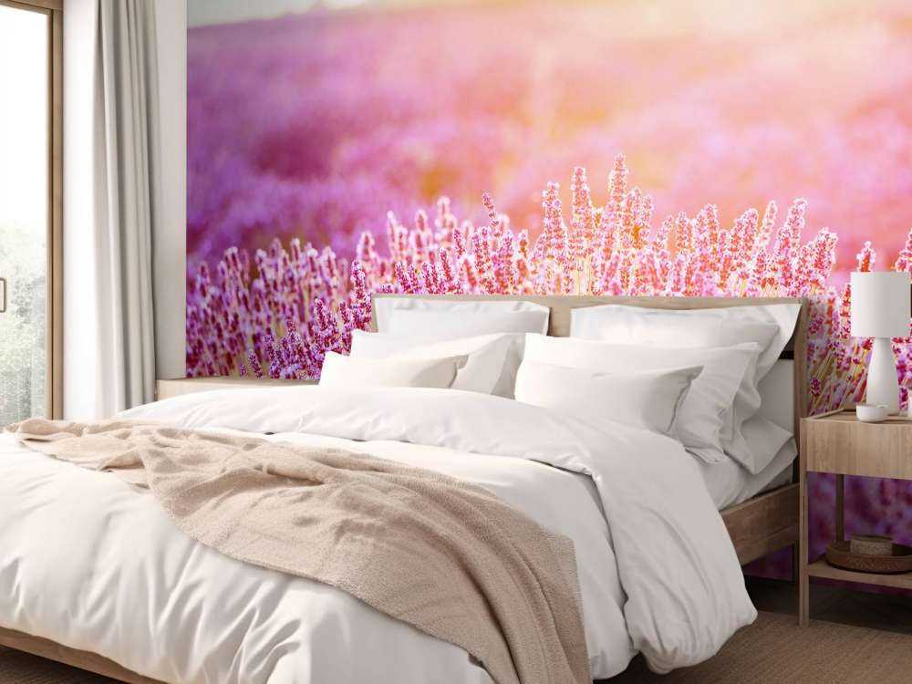 Primer plano de flores de lavanda