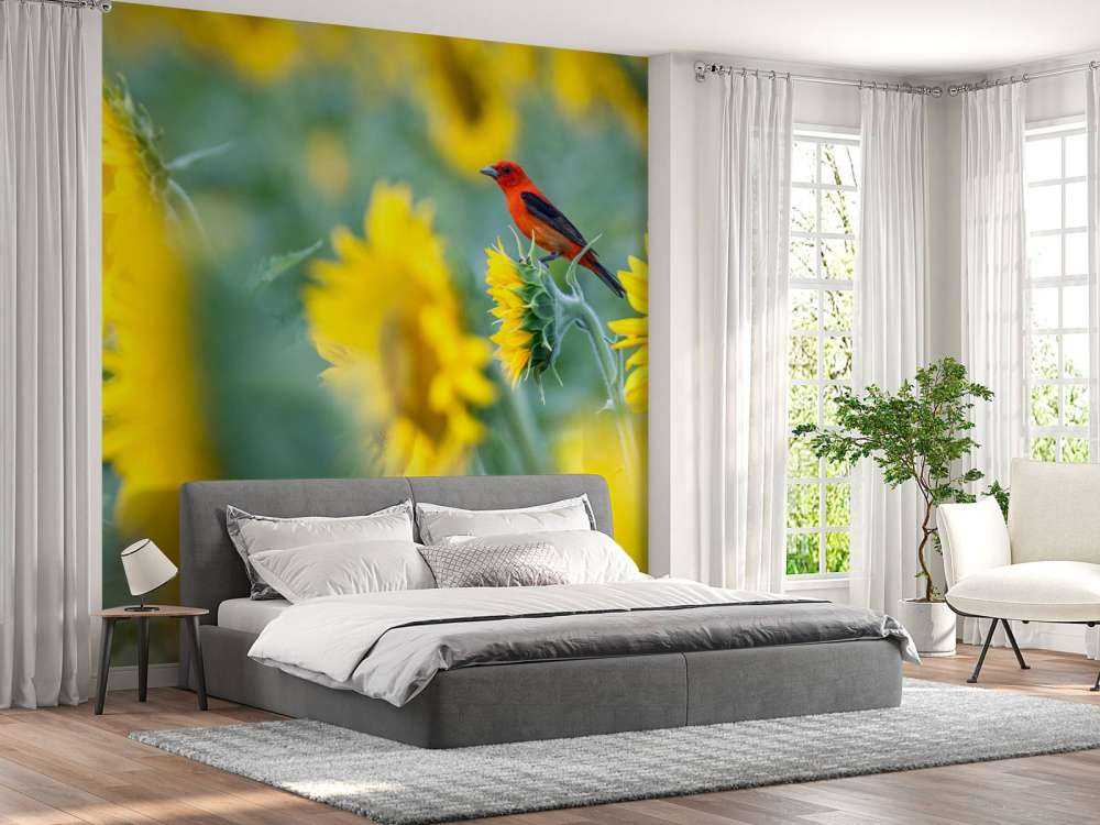 Campo de girasoles con pájaro rojo