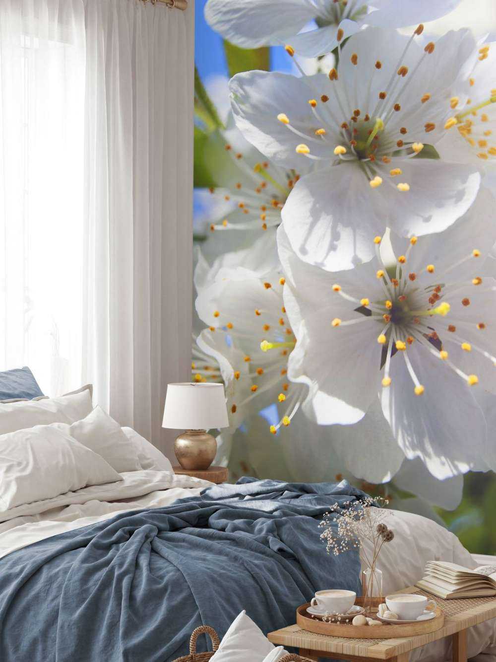 Primer plano de las flores blancas