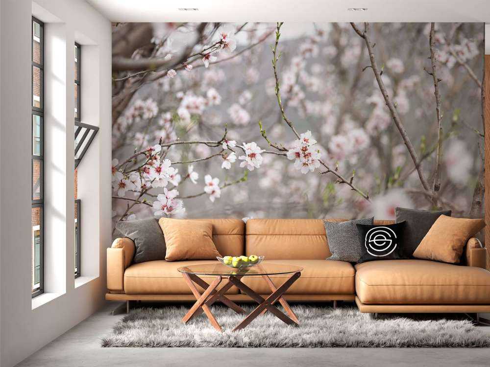 Flores blancas y rosadas