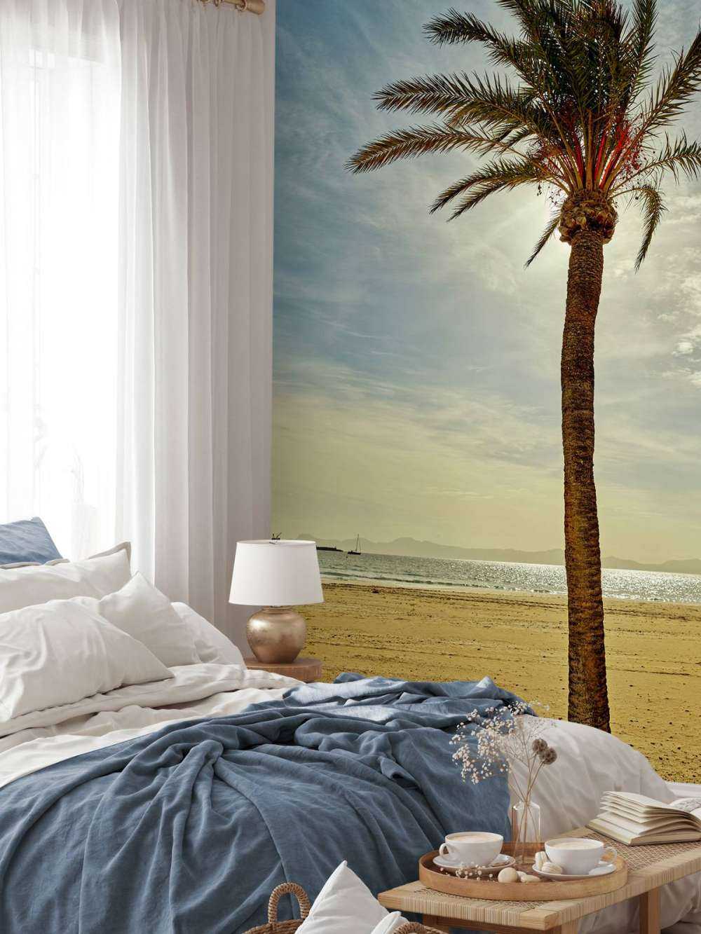 Palmera al sol