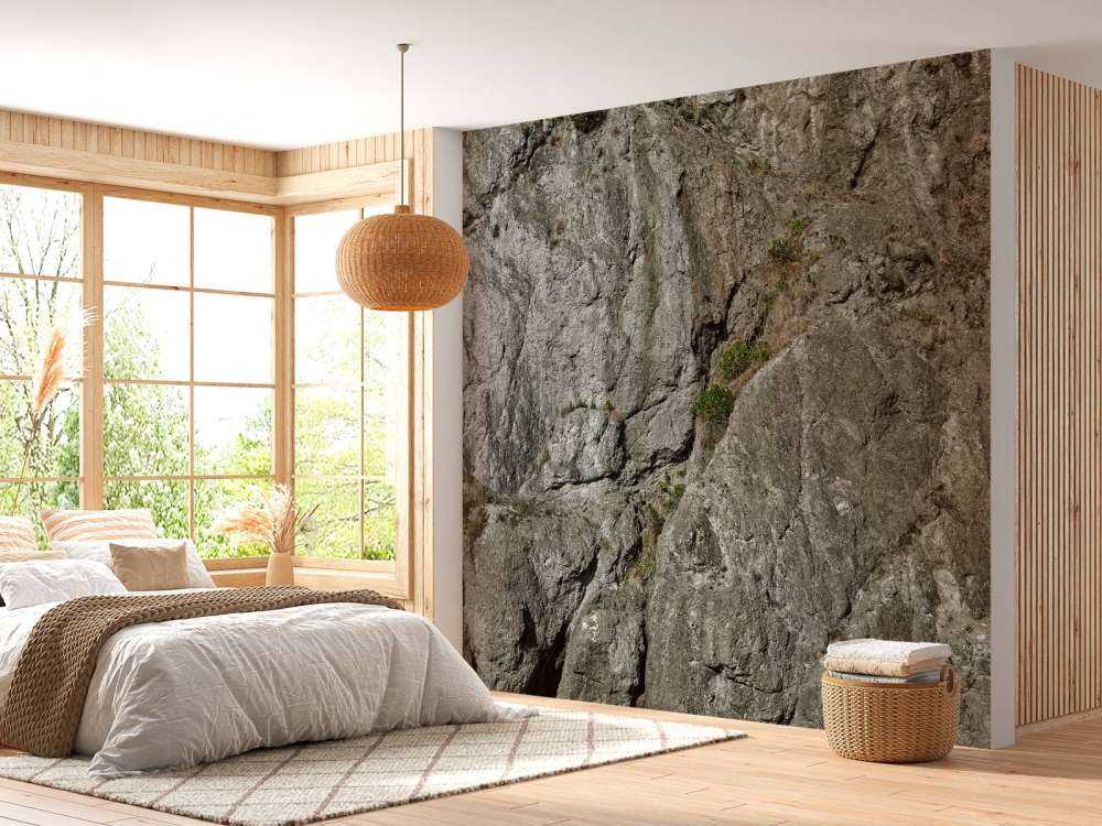 Pared de roca gris