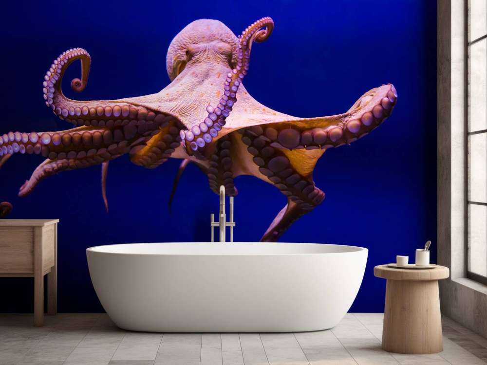 Pulpo