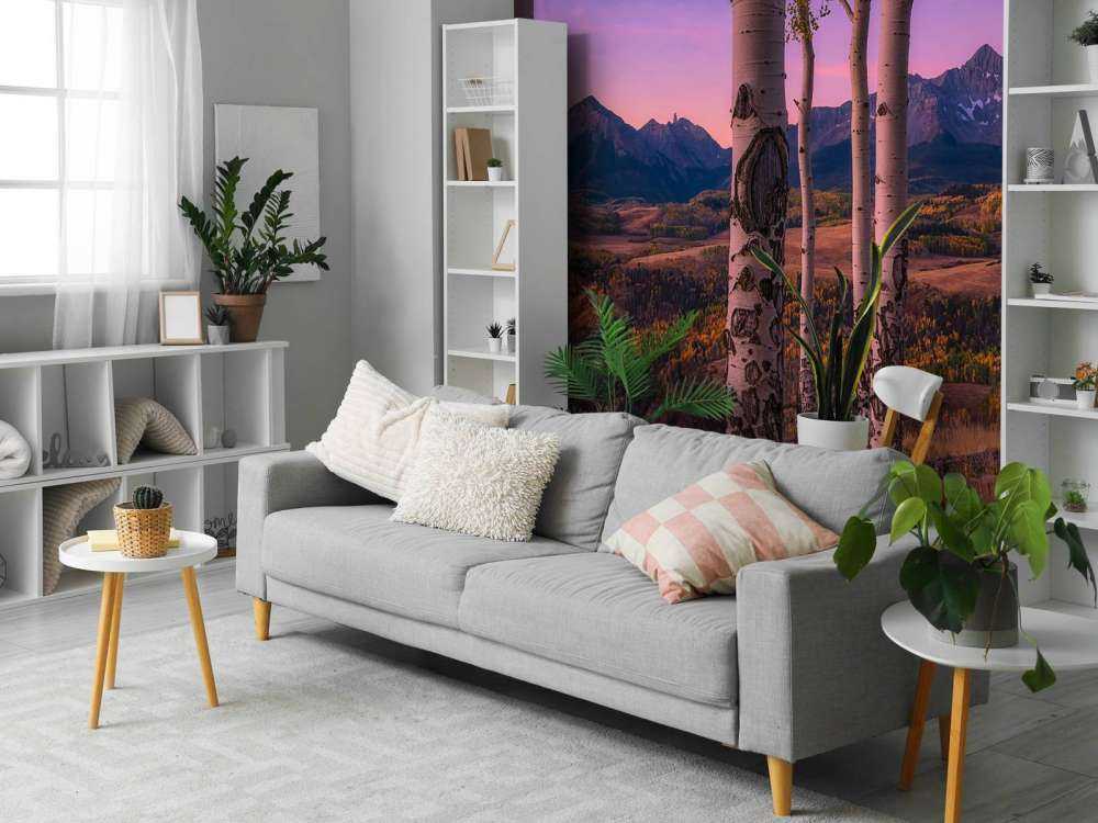 Marcos de Aspen
