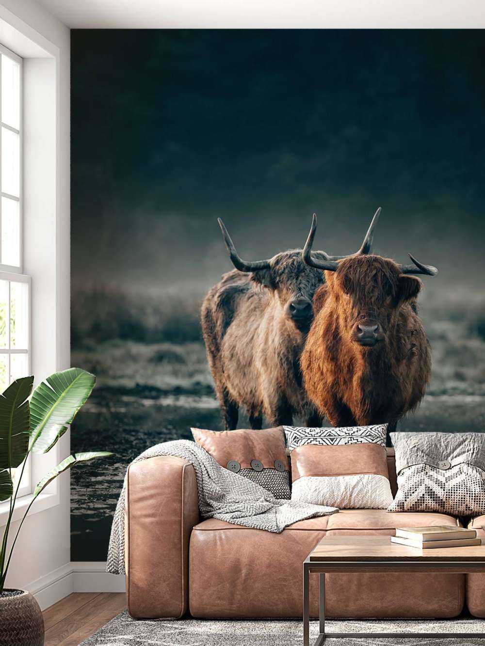 Pareja de Highlanders