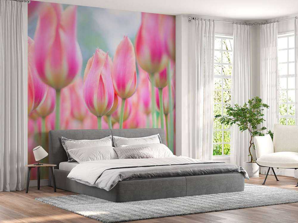 Primer plano de tulipanes rosas