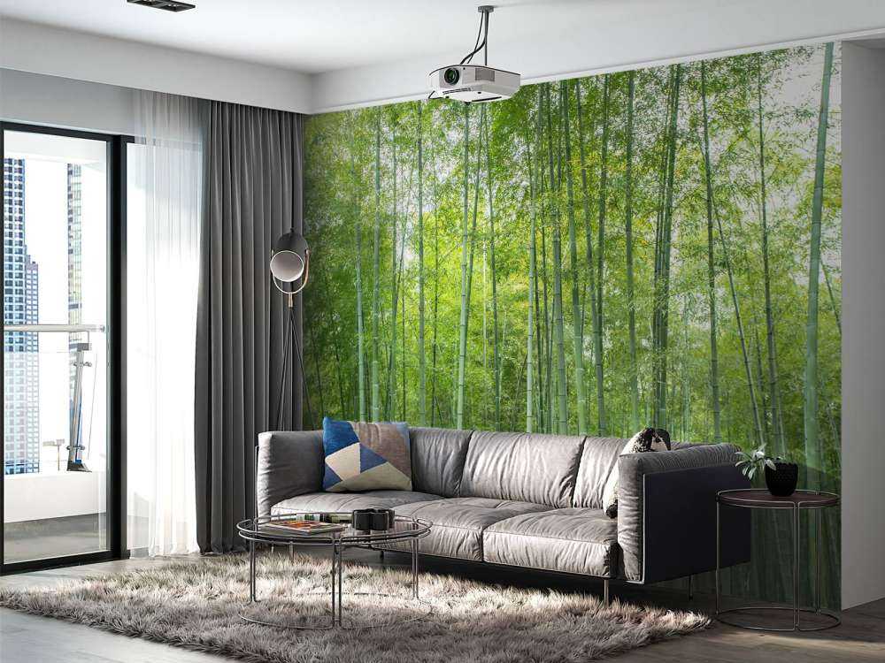 Bosque verde de bambú