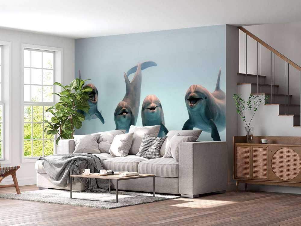 Delfines que ríen
