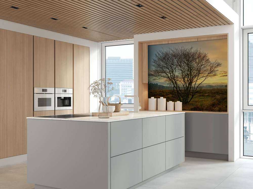 Amanecer en el páramo