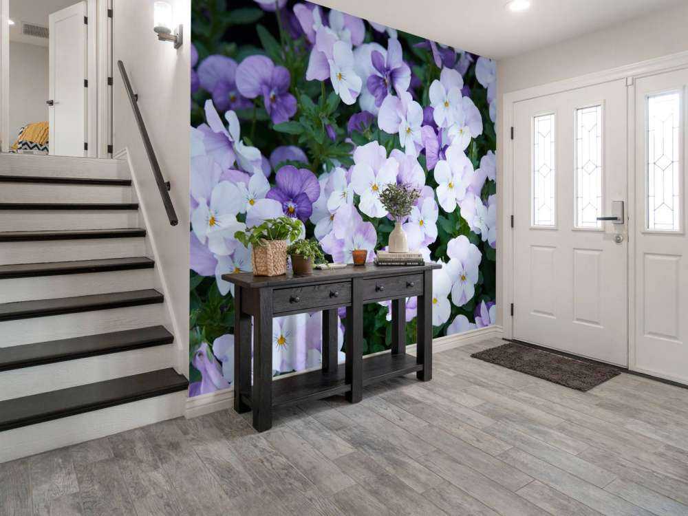 Violas blancas y moradas