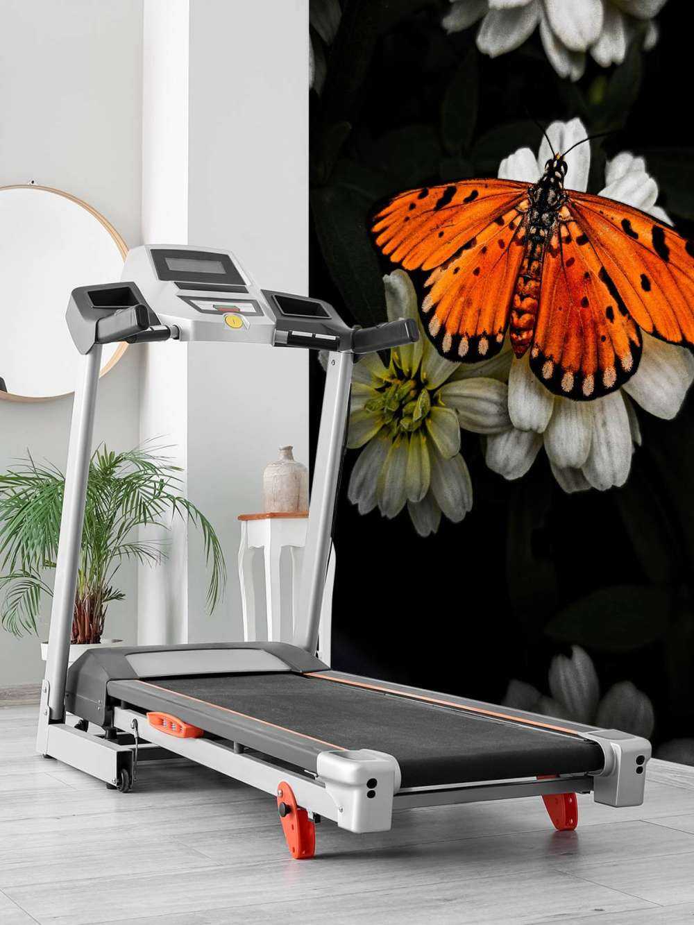 Mariposa monarca en una flor