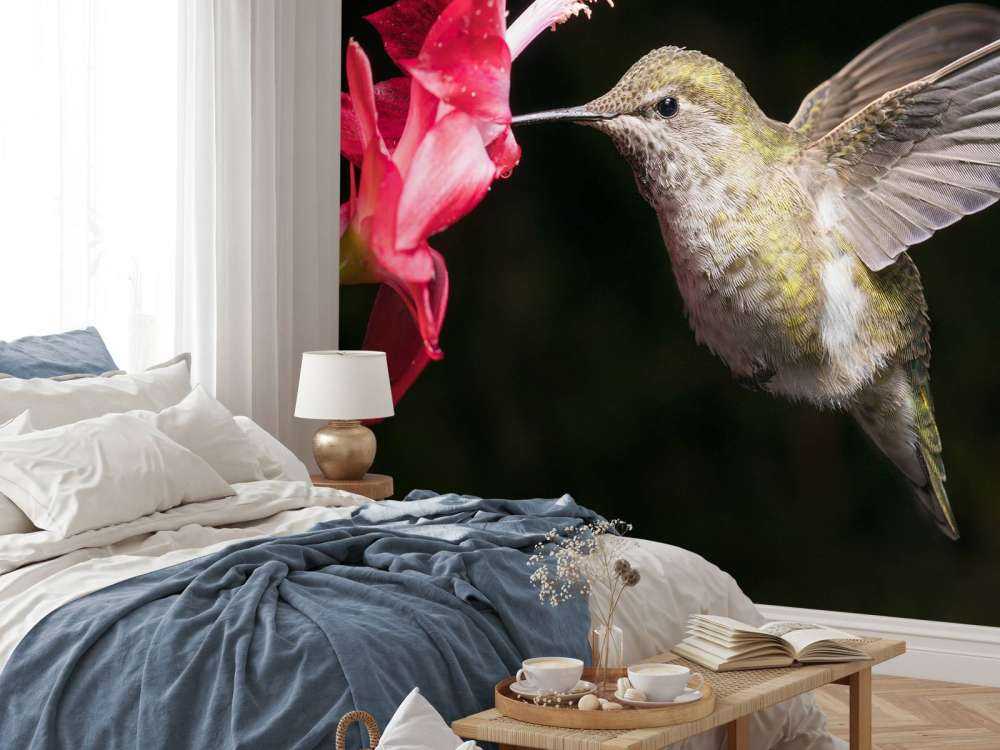 Colibrí con flor roja