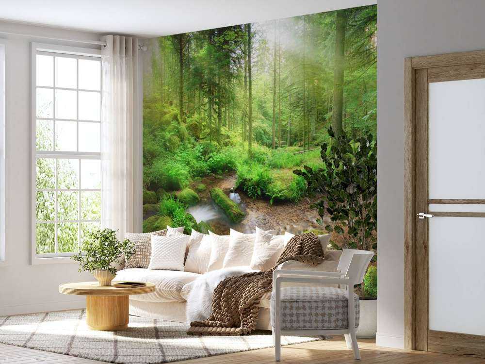 Paisaje de bosque encantado