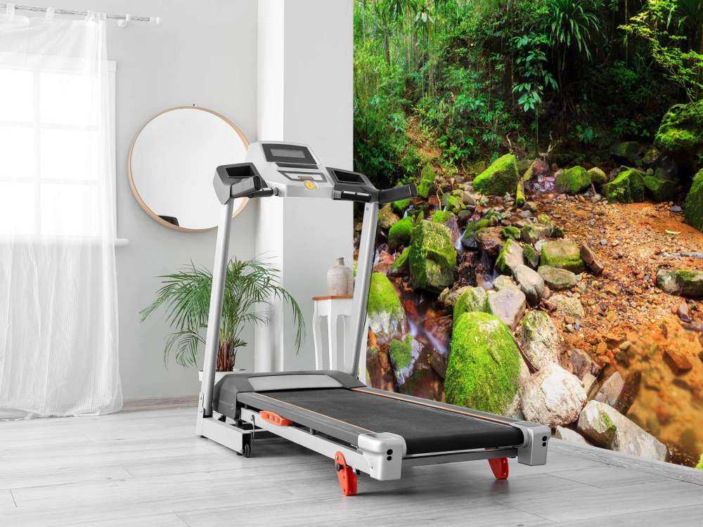 Selva tropical
