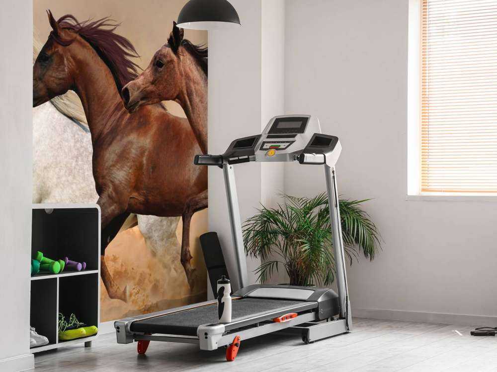 Caballos al galope en una tormenta de arena