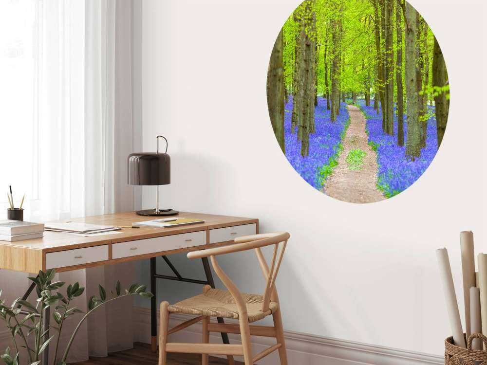 Sendero Bluebell
