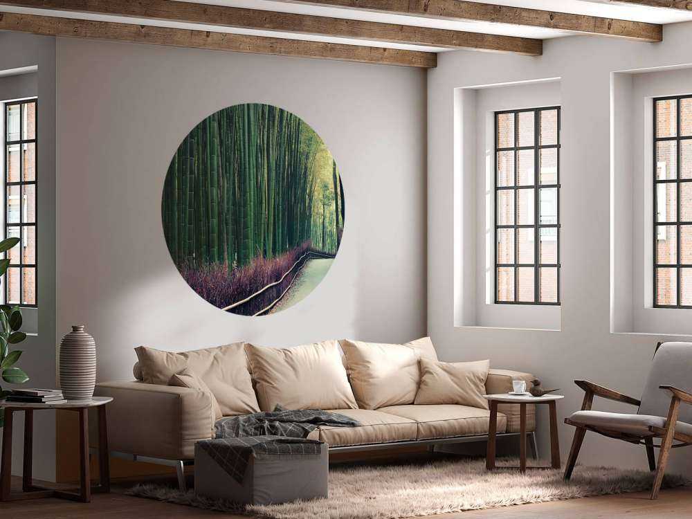Bosque de bambú