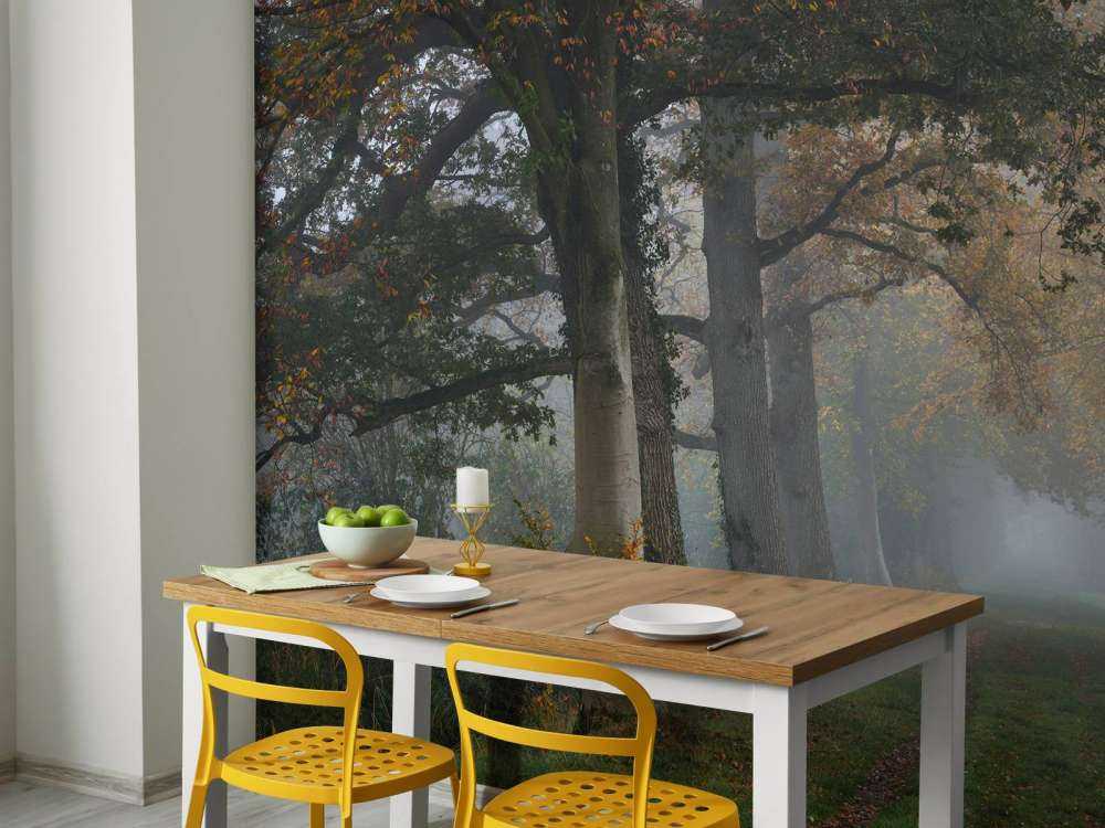 Carril con árboles en la niebla