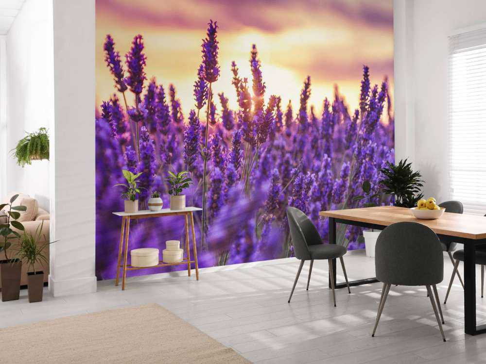 Flores de lavanda