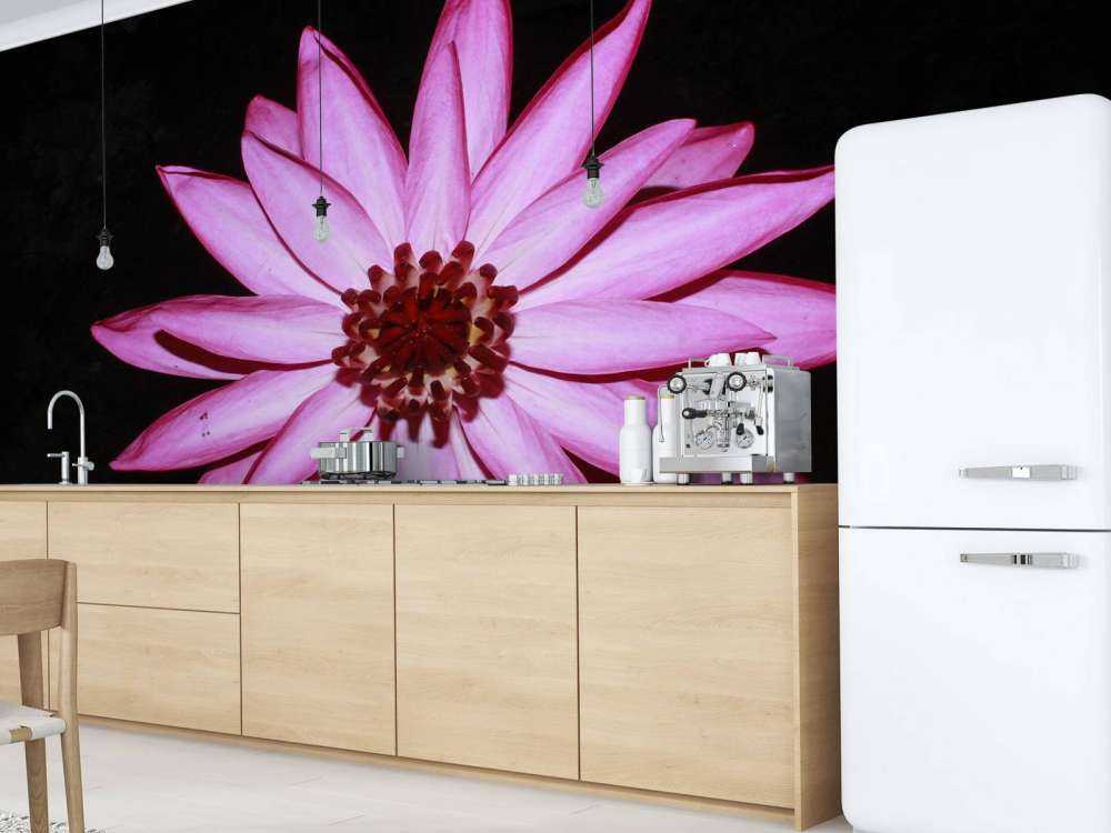 Flor de loto desde arriba