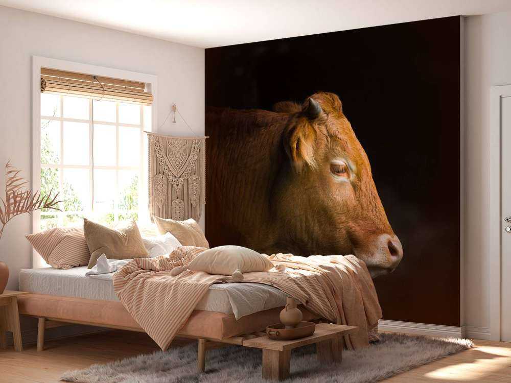 Cabeza de toro