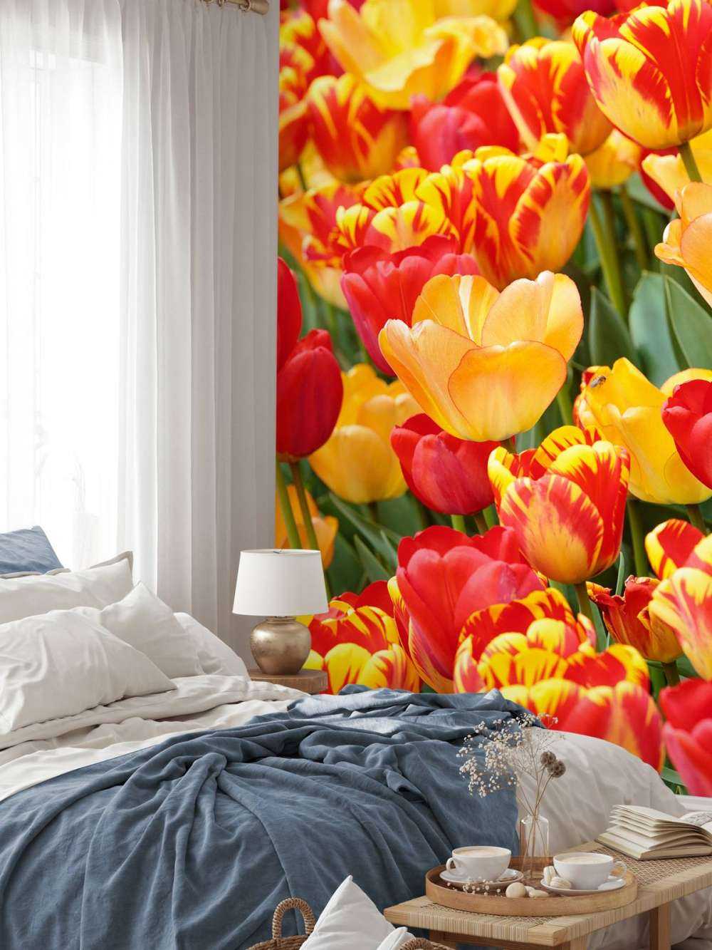 Tulipanes de colores