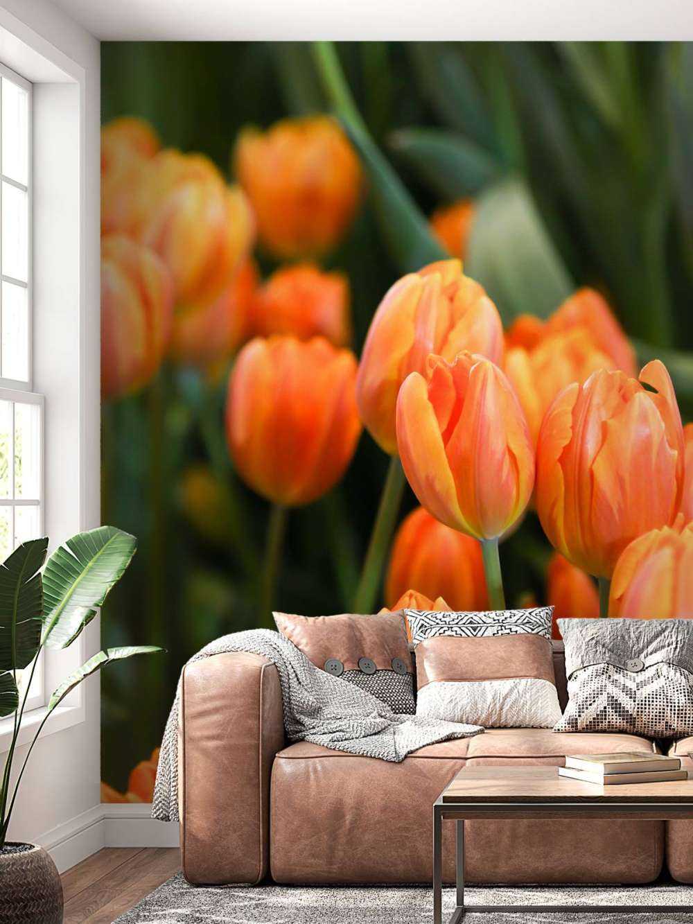 Tulipanes naranjas