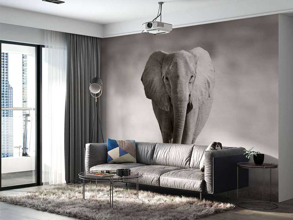 Hermoso elefante
