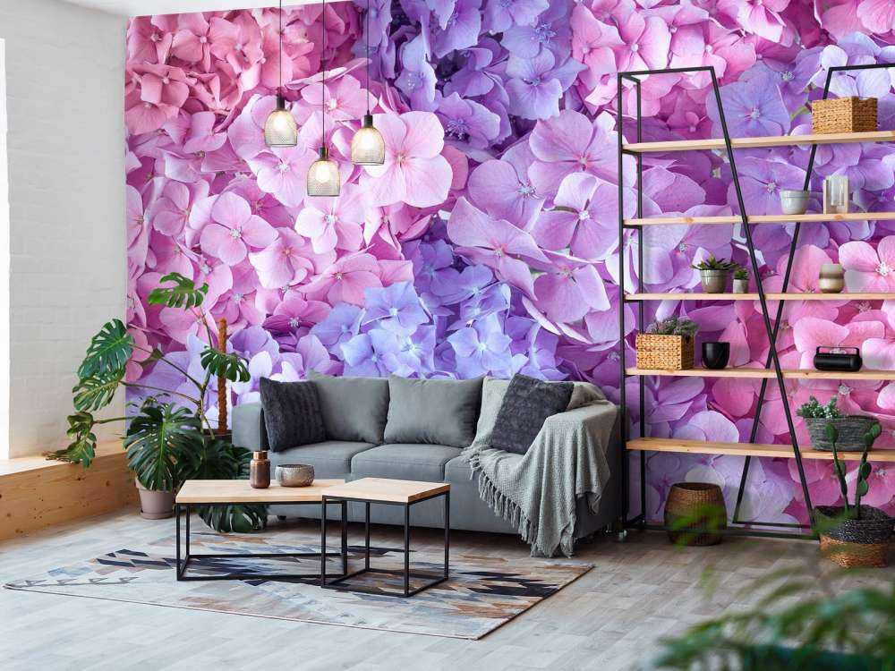 Hortensias de colores