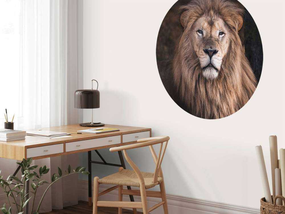Retrato de un león