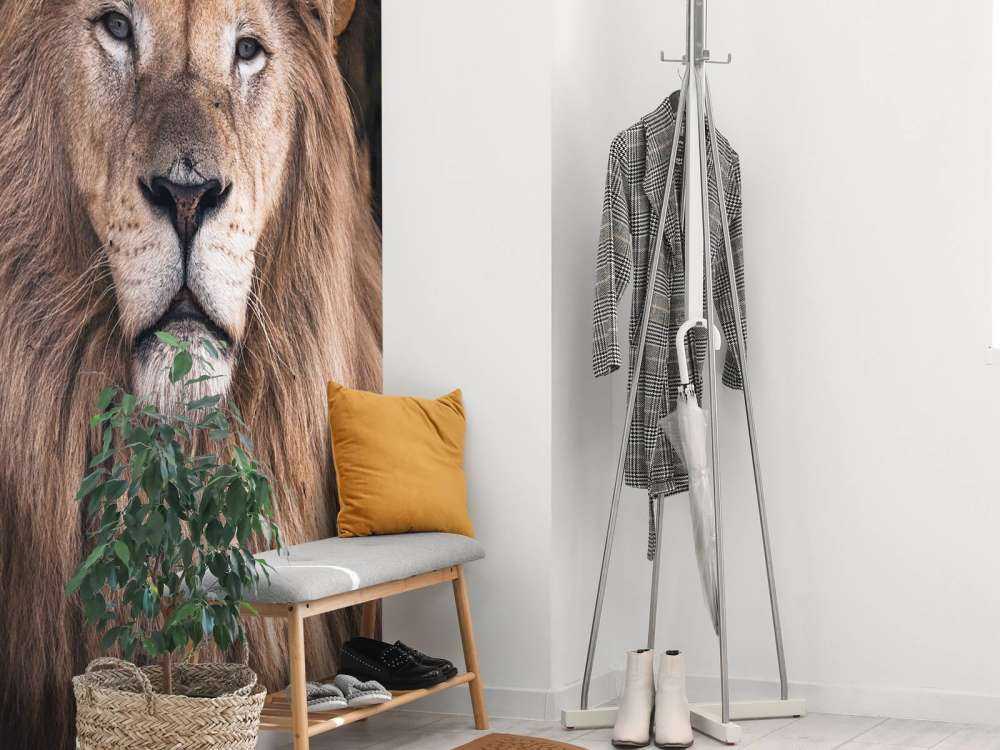 Retrato de un león