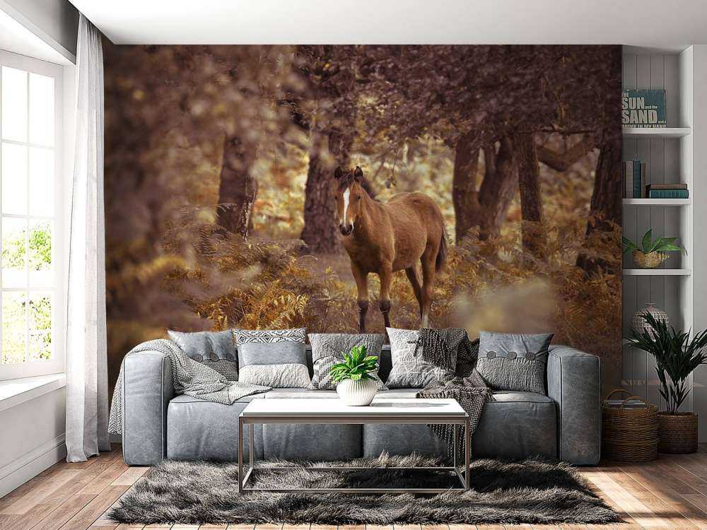 Caballo en el desierto