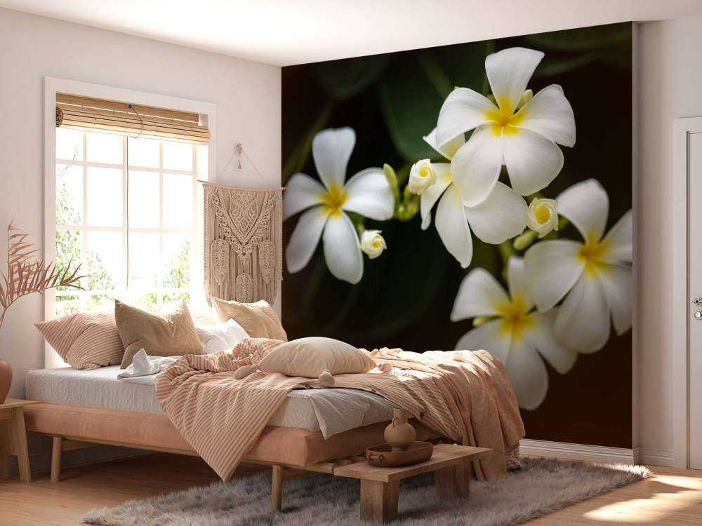 Primer plano de la Plumeria