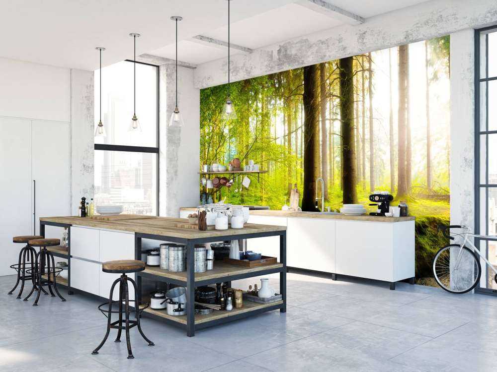 Bosque verde y fresco