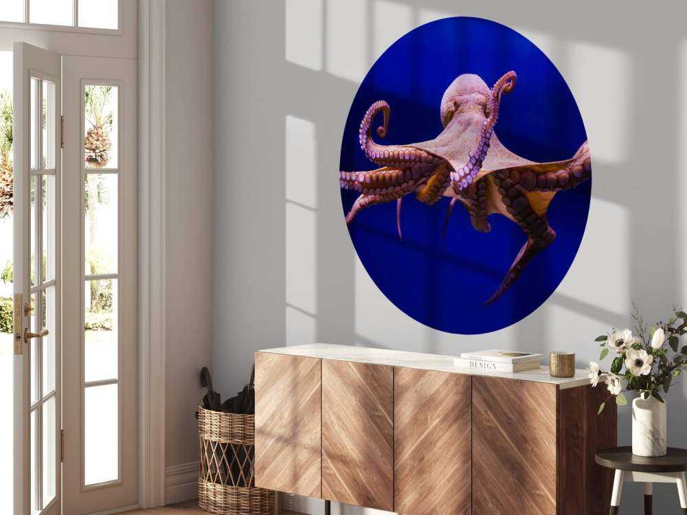 Pulpo
