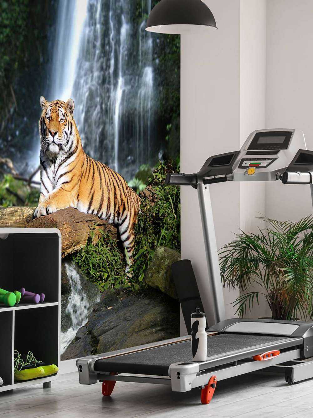 Tigre en la selva