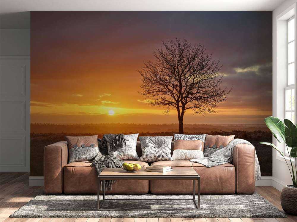 Colorido amanecer en el páramo