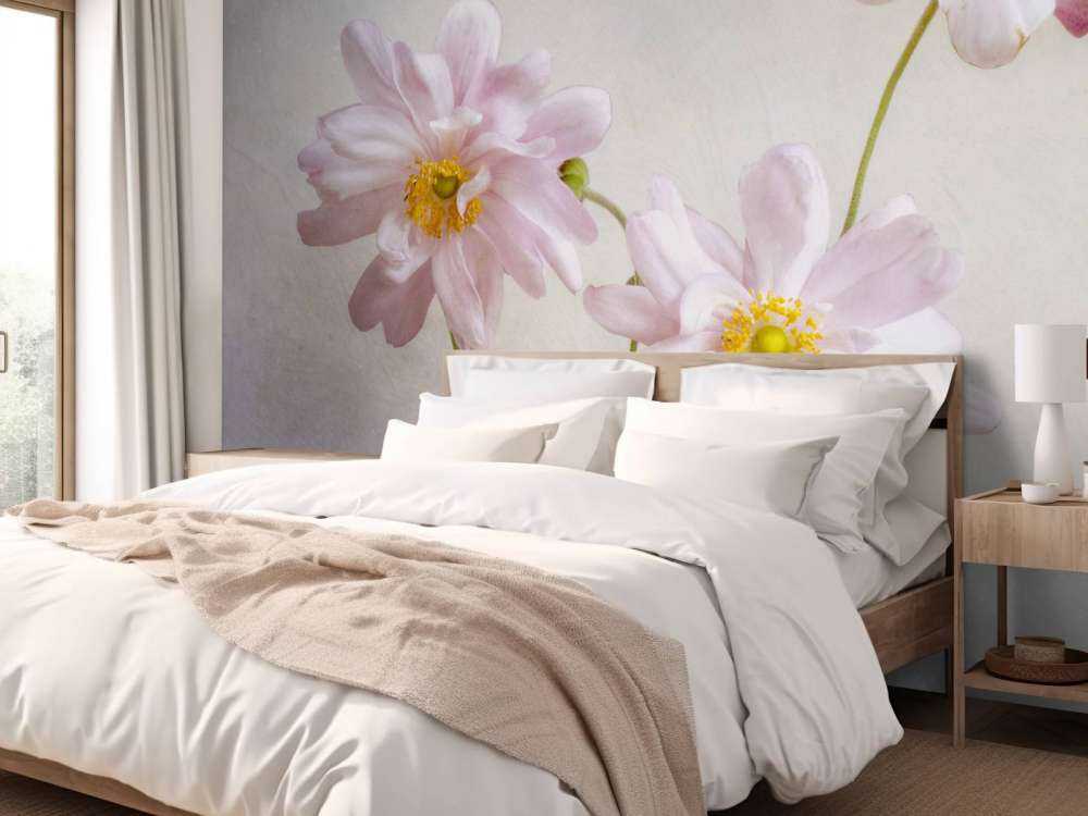 Anemones