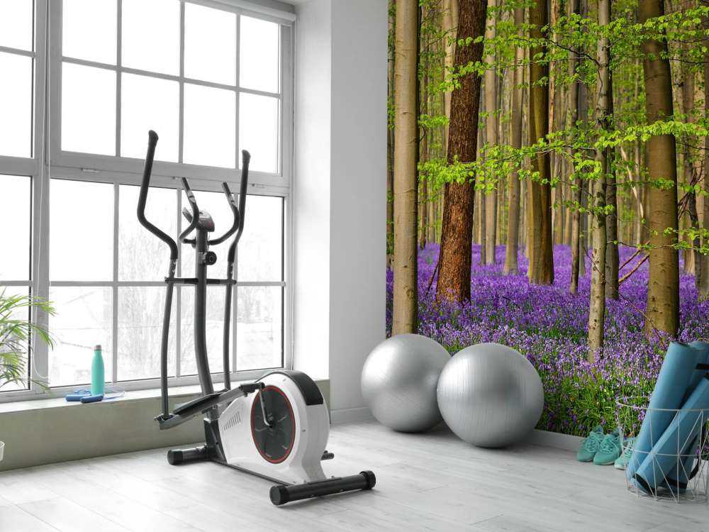 Bosque con flores moradas