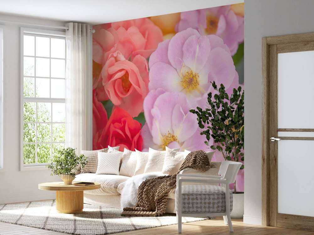 Flores de colores