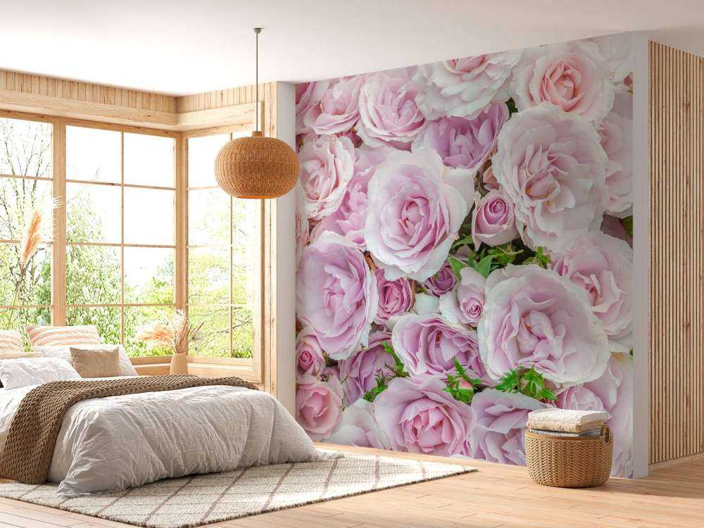 Coloridas rosas blancas y rosas