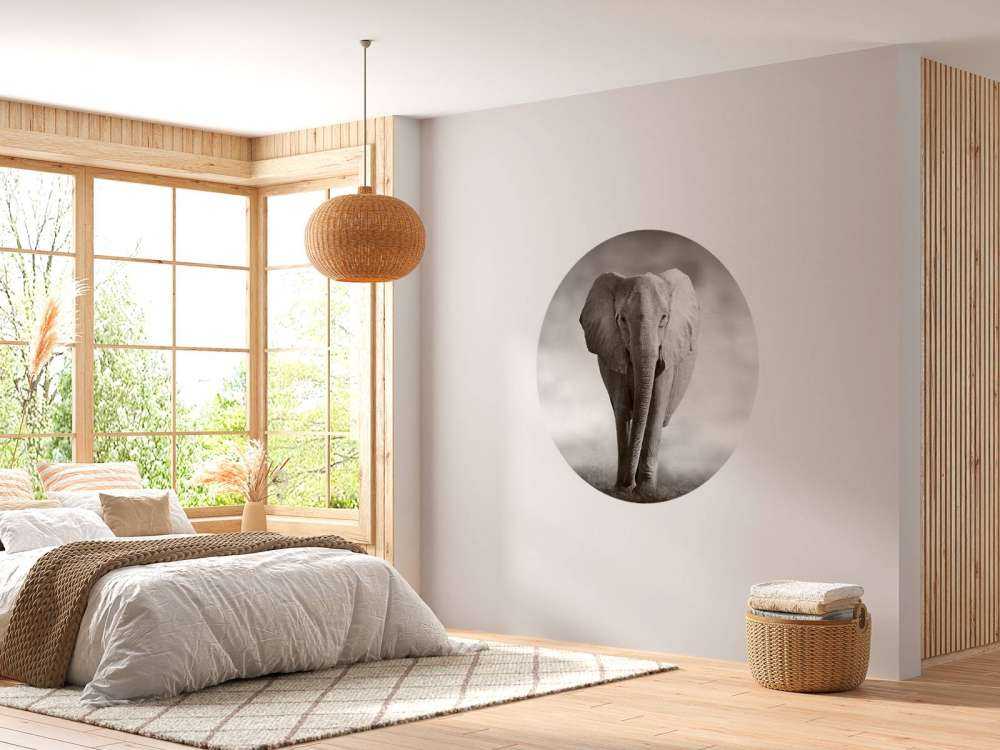 Hermoso elefante