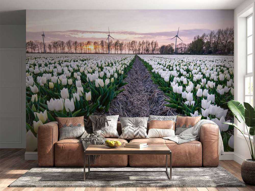 Tulipán blanco