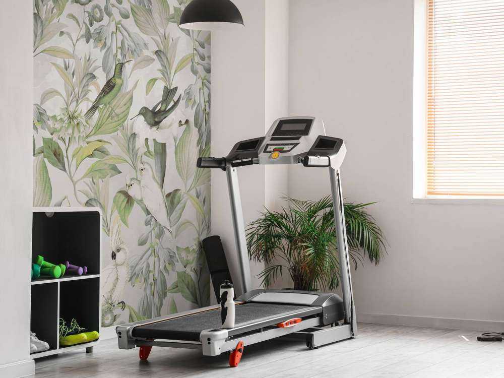 Canto Etéreo de Aves - Sinfonía Verdeante