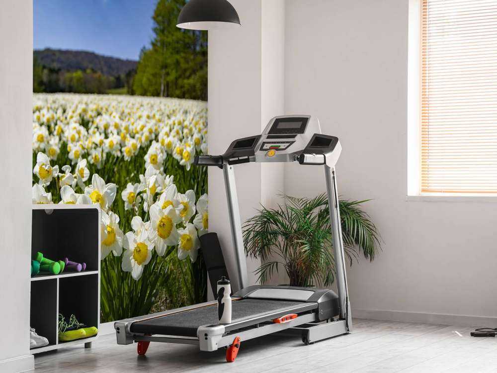 Narcisos blancos