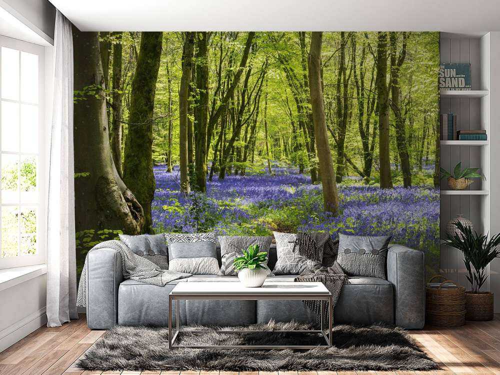 Bosque a la luz del sol