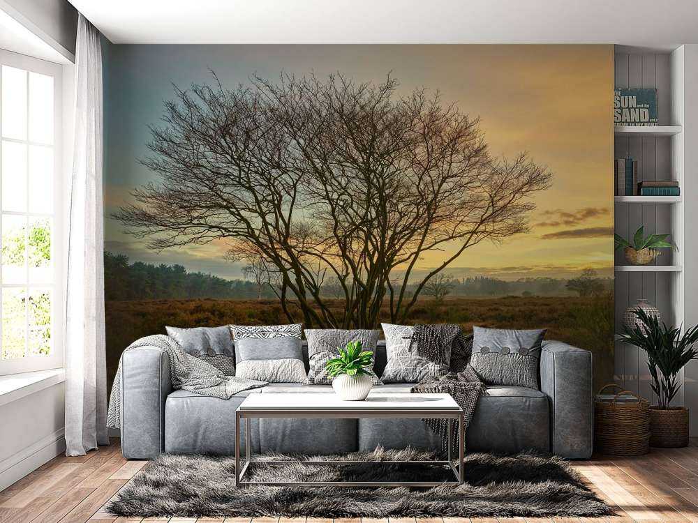 Amanecer en el páramo