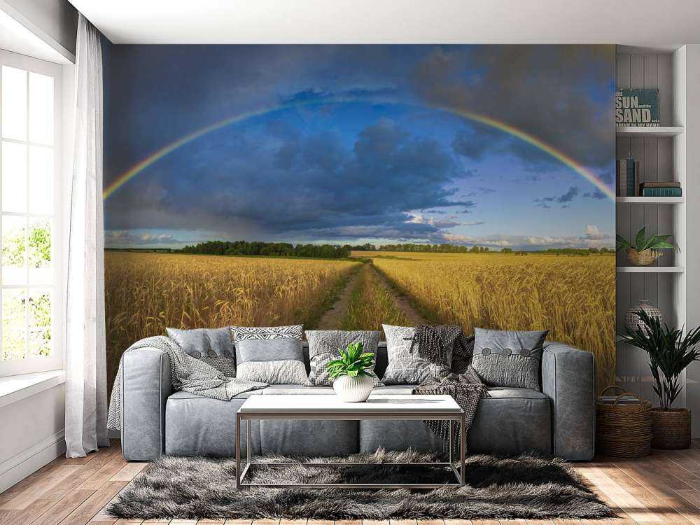 Arco iris sobre un campo de trigo